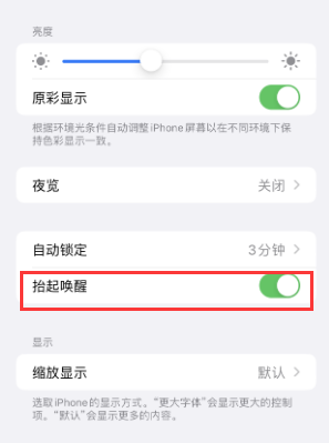 嵊泗苹果授权维修站分享iPhone轻点无法唤醒怎么办