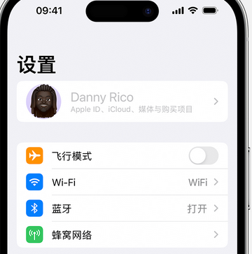 嵊泗appleID维修服务iPhone设置中Apple ID显示为灰色无法使用 