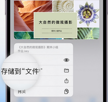 嵊泗apple维修中心分享iPhone文件应用中存储和找到下载文件