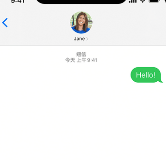 嵊泗apple维修iPhone上无法正常发送iMessage信息