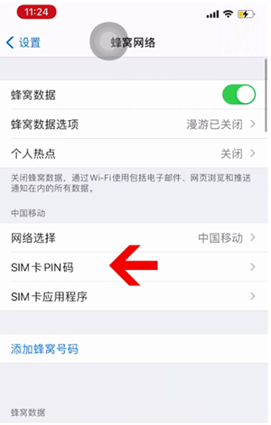 嵊泗苹果14维修网分享如何给iPhone14的SIM卡设置密码 