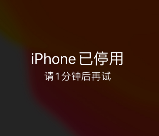 嵊泗苹果手机维修分享:iPhone 显示“不可用”或“已停用”怎么办？还能保留数据吗？ 