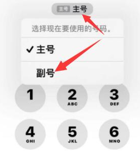 嵊泗苹果14维修店分享iPhone 14 Pro Max使用副卡打电话的方法 