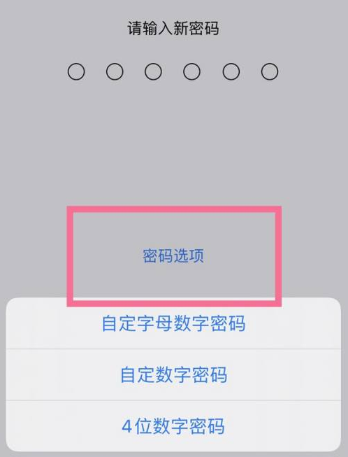 嵊泗苹果14维修分享iPhone 14plus设置密码的方法 