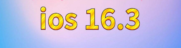 嵊泗苹果服务网点分享苹果iOS16.3升级反馈汇总 