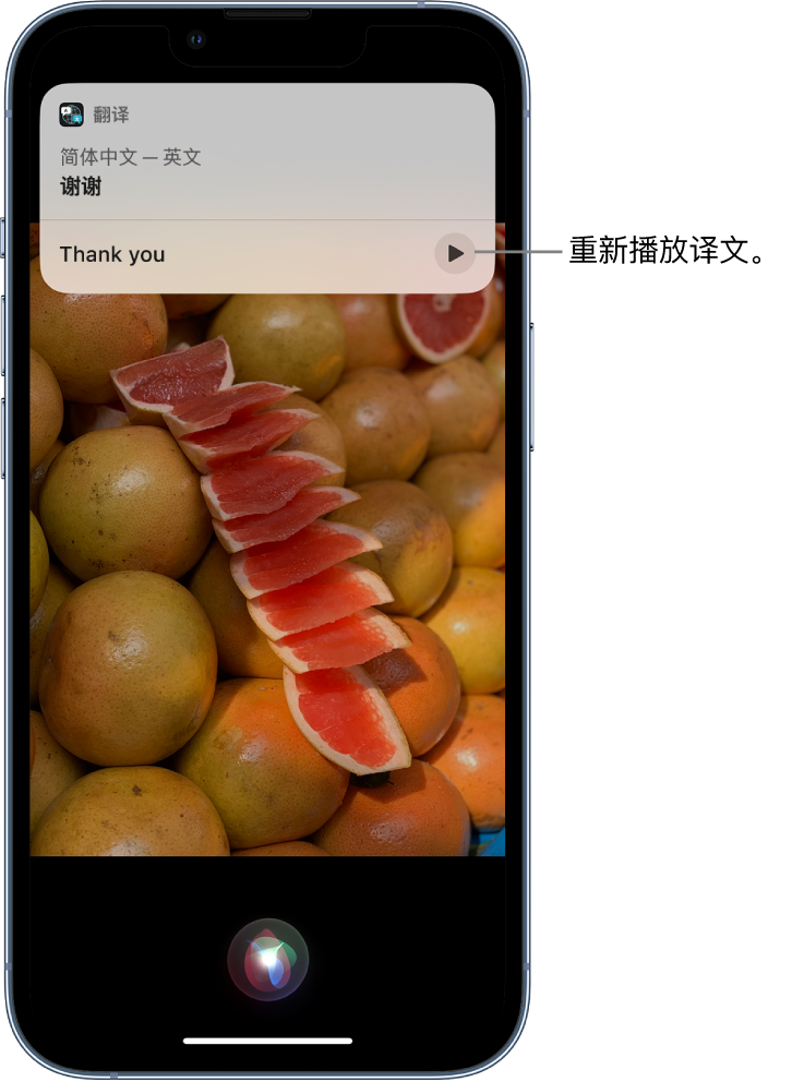 嵊泗苹果14维修分享 iPhone 14 机型中使用 Siri：了解 Siri 能帮你做什么 