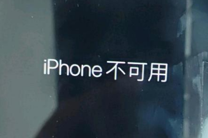 嵊泗苹果服务网点分享锁屏界面显示“iPhone 不可用”如何解决 