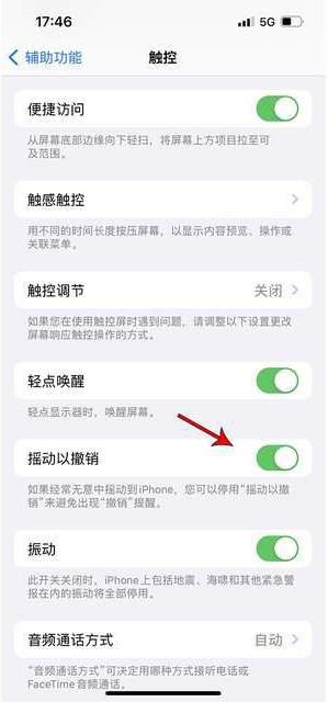 嵊泗苹果手机维修分享iPhone手机如何设置摇一摇删除文字 