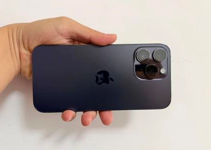 嵊泗苹果维修点分享iPhone 14 Pro Max黑屏少见故障盘点 